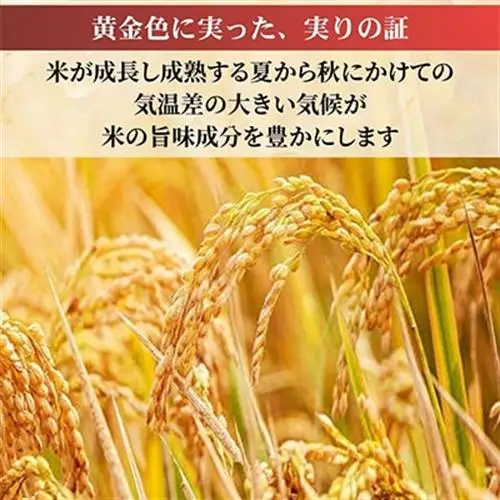 【数量限定・訳あり】令和7年産福島県小野町産ひとめぼれ　5kg　福島県の美味しいお米【1630012】