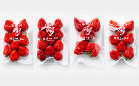 【訳あり】完熟あまおう 4パック いちご 苺 イチゴ フルーツ 果物 くだもの あまおう ギフト 冷蔵 苅田町 【2027年2月上旬-3月下旬発送予定】