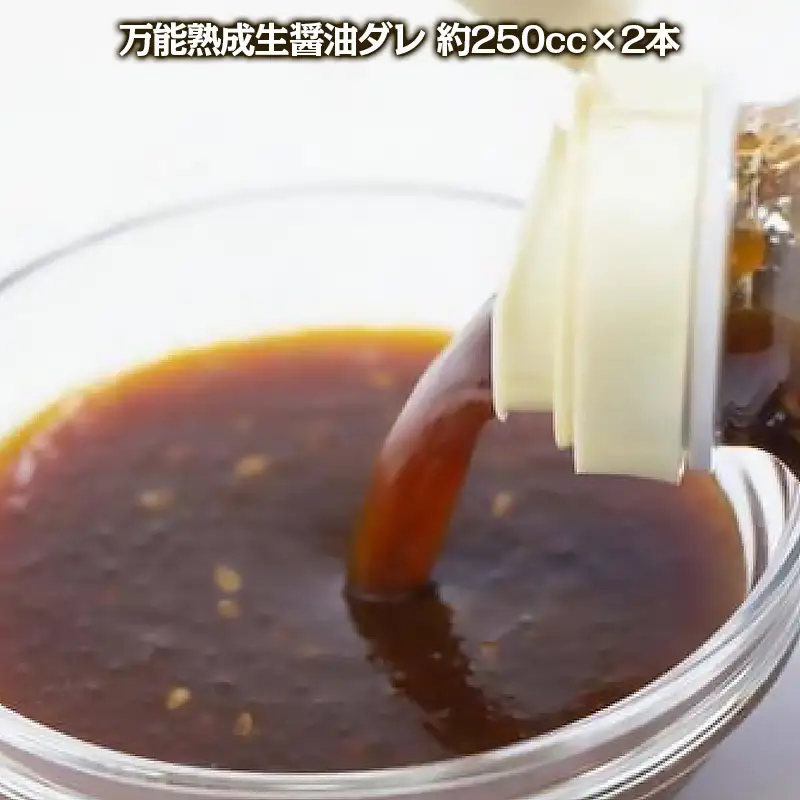 やたら売れてる焼肉屋の山形牛入りハンバーグ1.2kg(120g×10)と万能熟成生醤油ダレ(2本)セット FY25-266