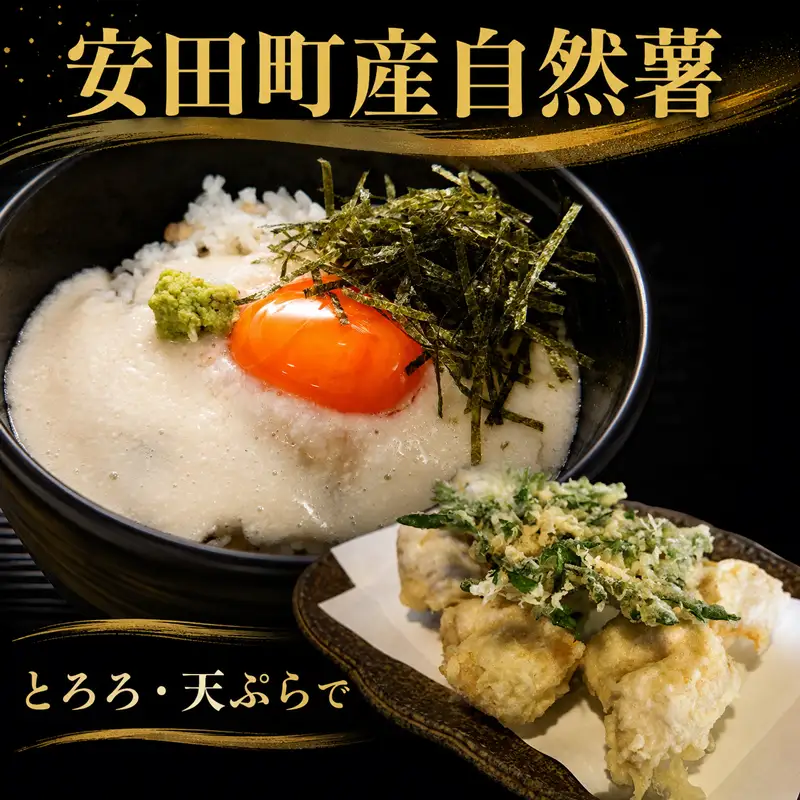 安田町産 自然薯 とろろん 1番  すりおろし 3袋 とろろ 冷凍 小分け JN-01