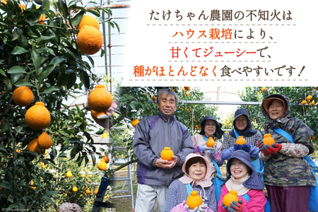 【期間限定発送】じゅわーっと甘い 不知火 約3kg（ハウス栽培・化粧箱入り）