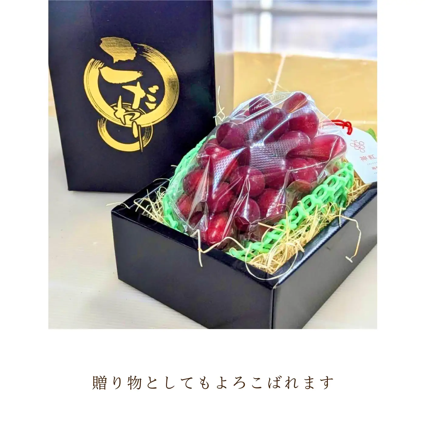 島根県限定！幻のぶどう　”神紅（しんく）” 1房　500ｇ 