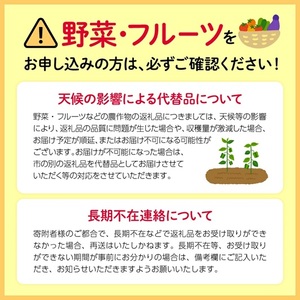シャインマスカット 2房 約1kg 【シャインマスカット】