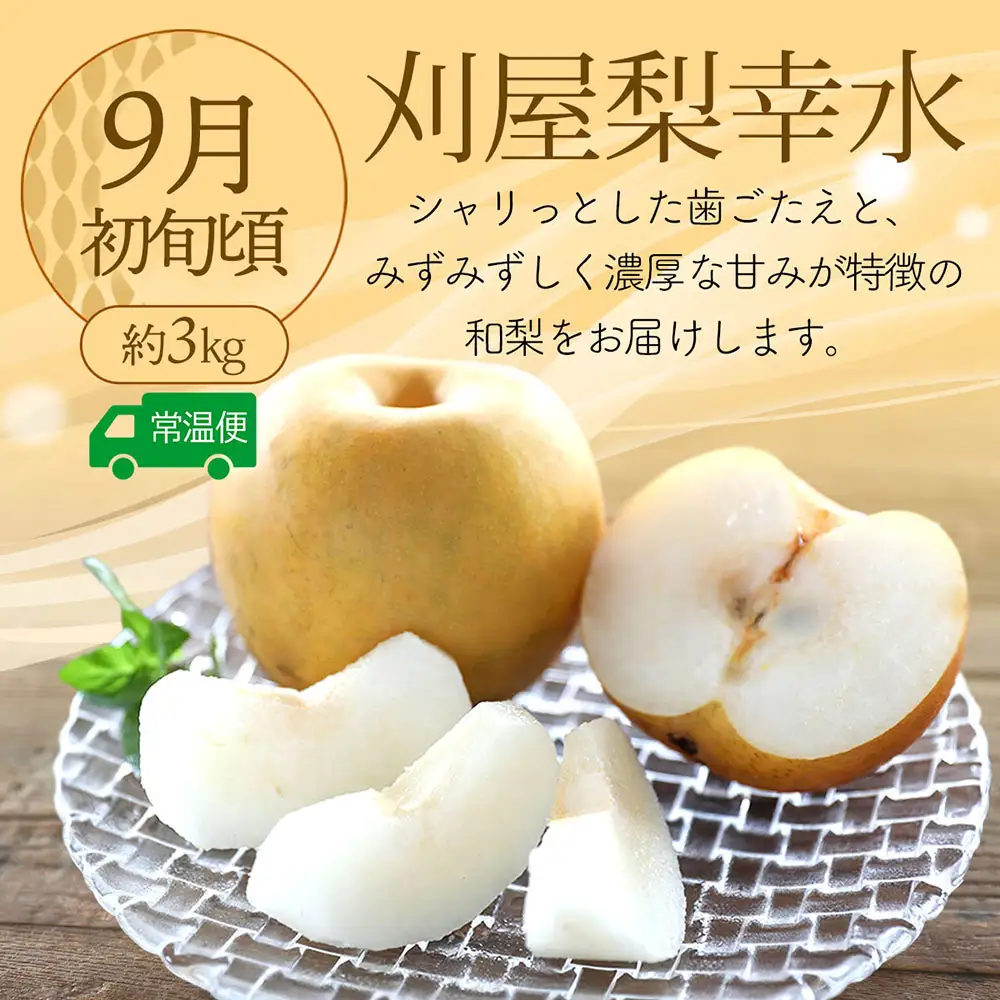 【R8.8月中旬より発送開始】食の都庄内 厳選フルーツ便C（入金期限：2026.7.31）アールスメロン 和梨 シャインマスカット 全3回配送 常温便 冷蔵便