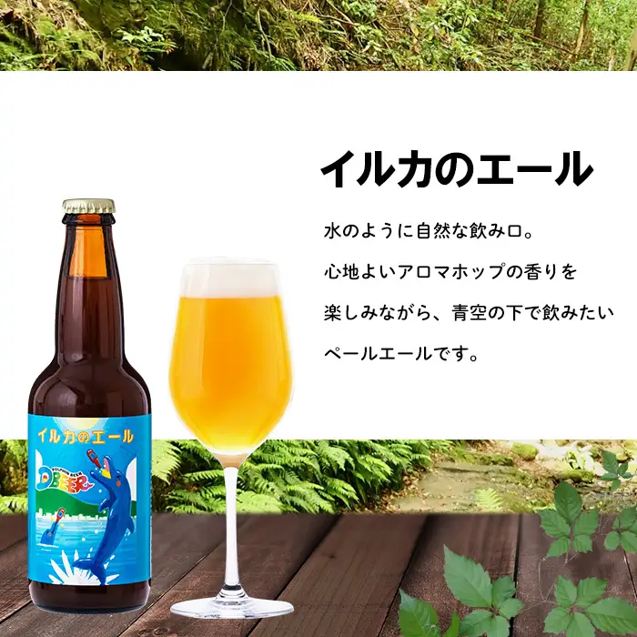 イルカの町のクラフトビール　6本セット クラフト クラフトビール ビール お酒 アルコール 瓶ビール オリジナル 人気 おすすめ オススメ 贈答 ギフト 贈り物 父の日 敬老の日 プレゼント 沖縄 乾杯 お祝い ランキング