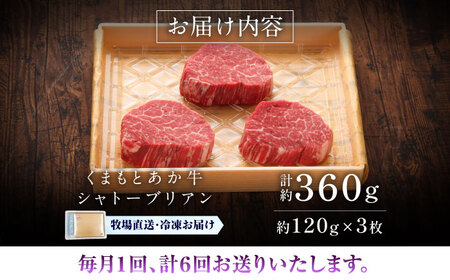 全6回定期便 GI認証 くまもとあか牛シャトーブリアン 約120g×3枚 ステーキ BHAS073 ステーキ