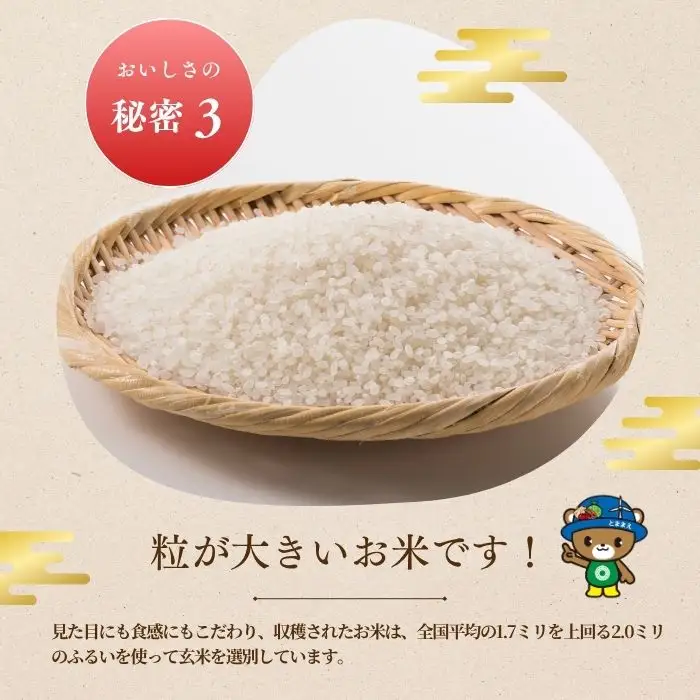 【令和8年産 新米先行受付】 北海道とままえ産 ゆめぴりか 5kg 【定期便 12か月】 米 お米 北海道産 北海道米 特Aランク 国産 白米 コメ 北海道 苫前町 とままえ rum41