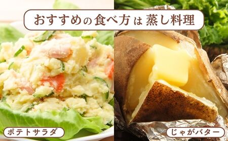 訳ありじゃがいも きたあかり 5kg | じゃがいも じゃがいも じゃがいも じゃがいも じゃがいも