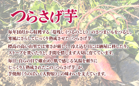 B2-3619／本格芋焼酎 八千代伝 ＜黒＞・薩摩の龍・完熟つらさげ芋焼酎 大野原（1.8L×各1本）
