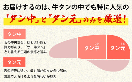  牛タン 味比べセット1㎏