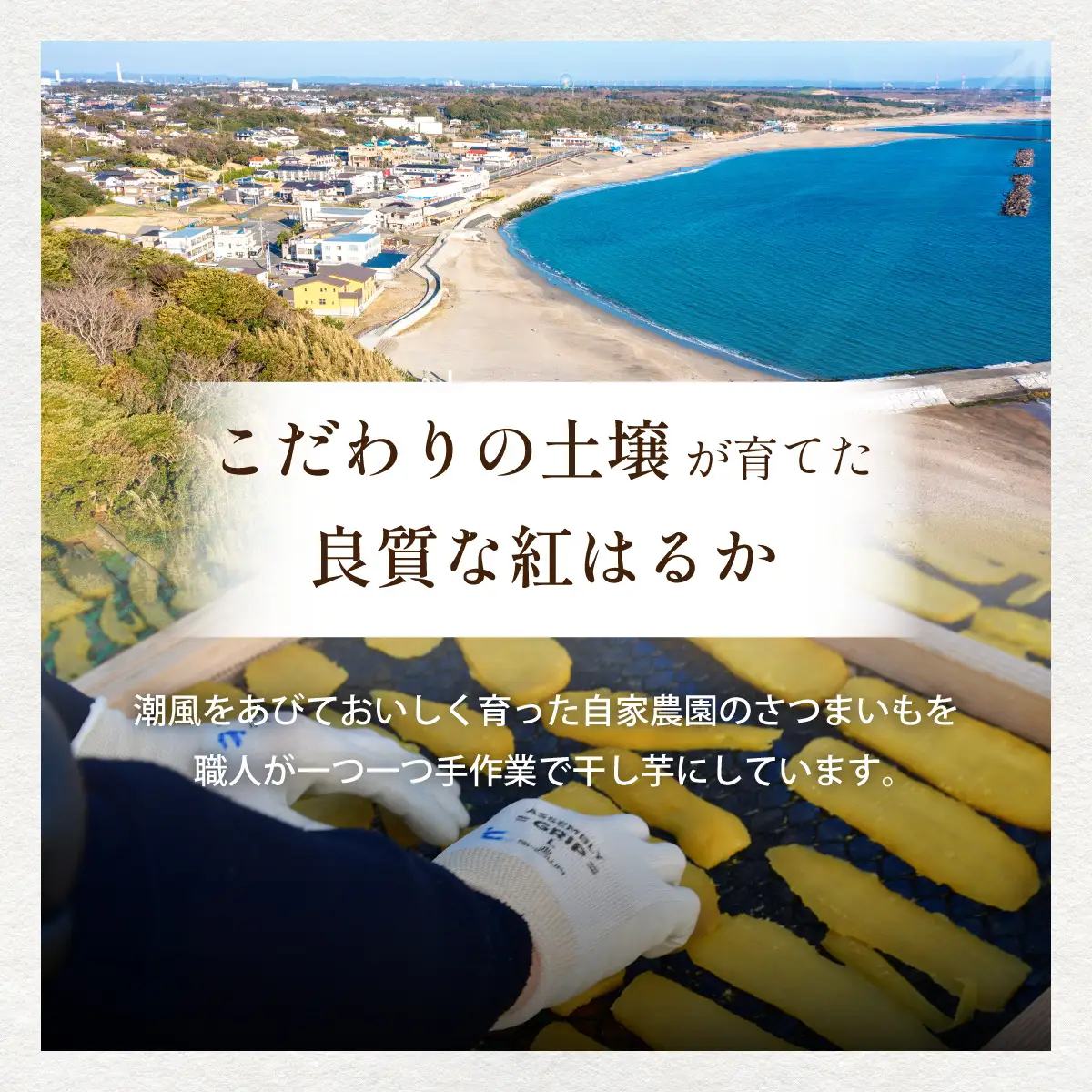 干し芋 紅はるか 平干し 850g×1袋 先行受付 | 干しいも ほしいも ひら干し ヒロファーム