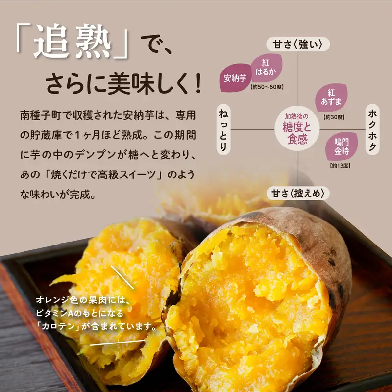 【先行予約】 種子島 安納いも 5kg 人気 種子島産 返礼品 南種子町 鹿児島 かごしま 【のっちーよ種子島】