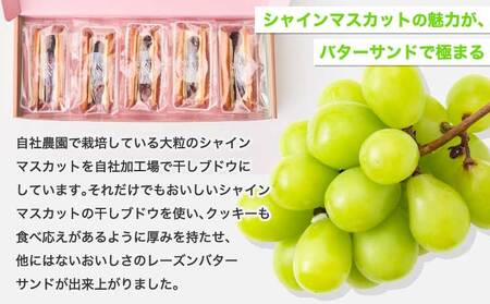 シャインマスカット レーズンバターサンド ラムレーズン クッキー 5個入り