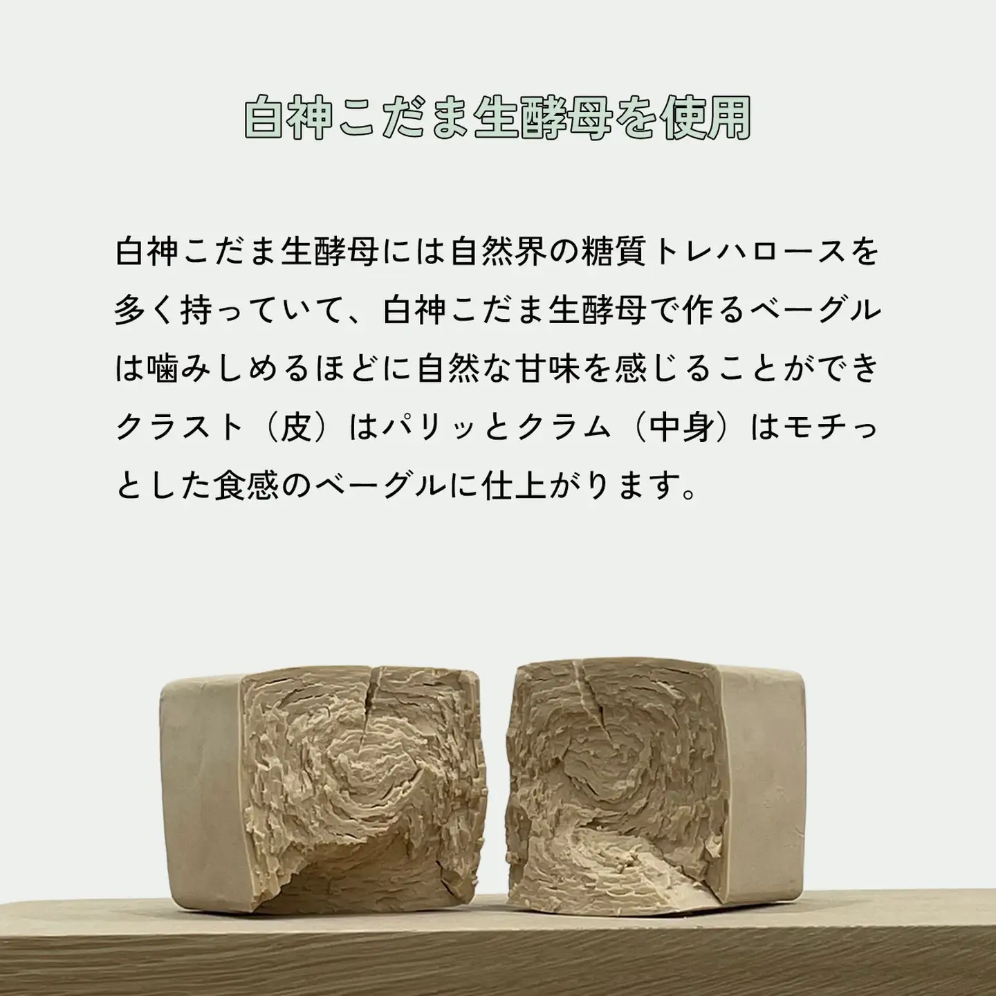 ベーグル おまかせ詰め合わせ 10個 手作りベーグル もちもち：B150-054