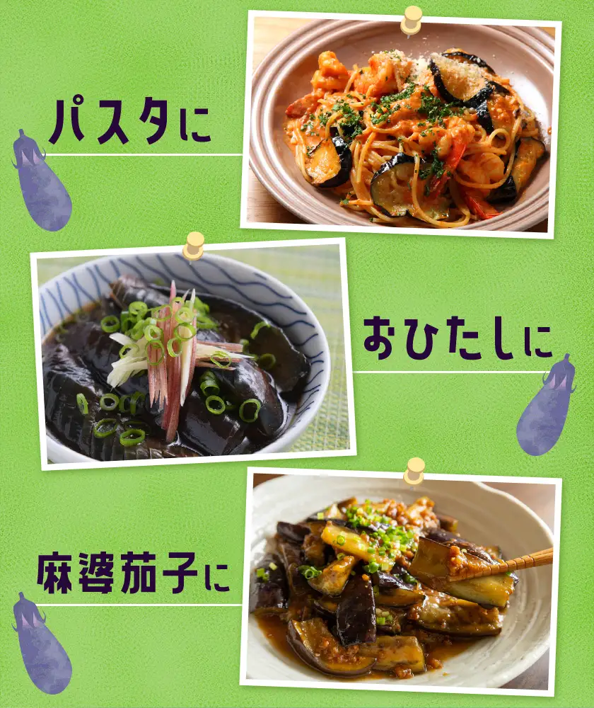 訳あり 筑陽なす 約5kg 25-30本 ナス 茄子 さつま園芸組合《7月上旬-9月末頃出荷》