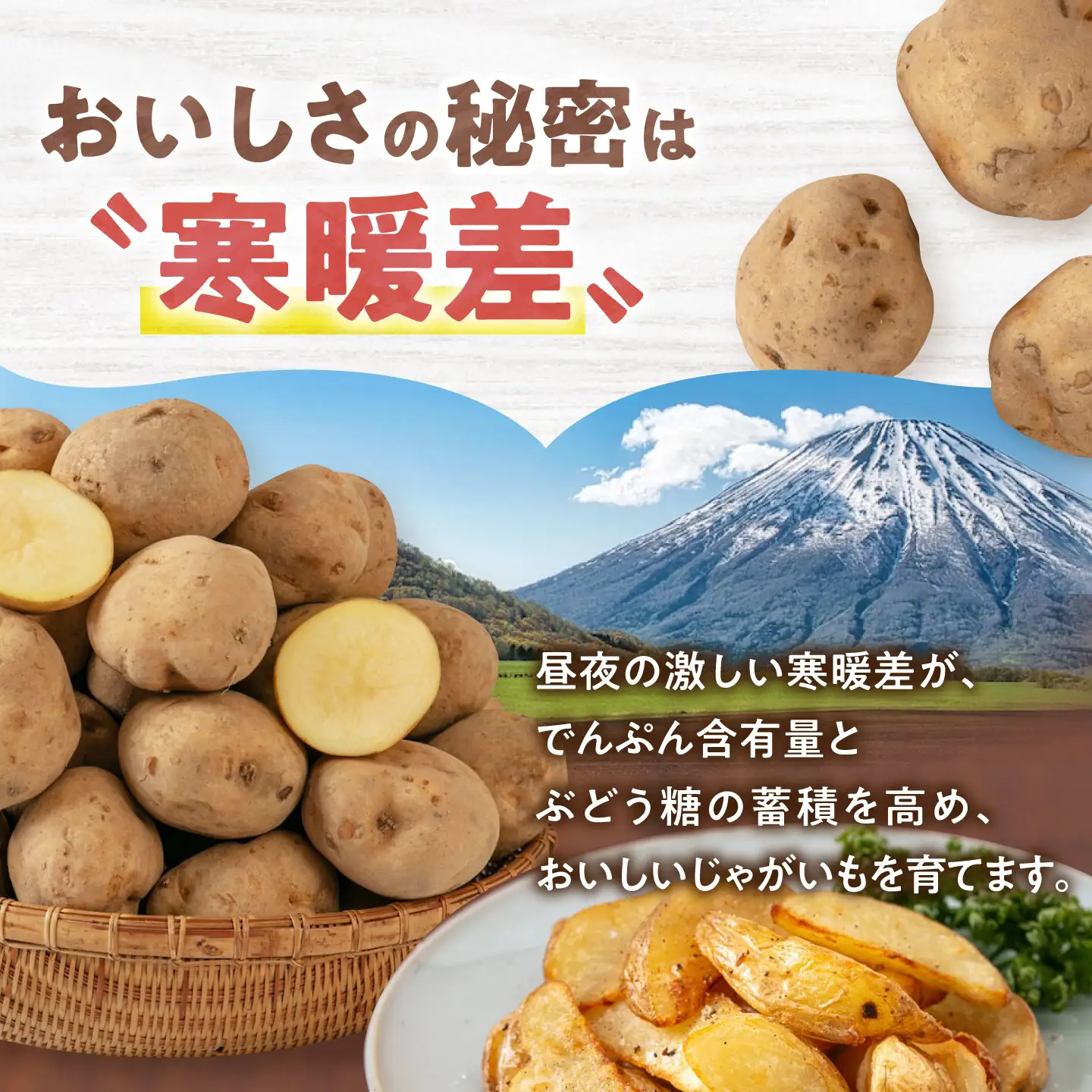  【先行予約】食べ比べセット 10kg [AJAK033] じゃがいも 