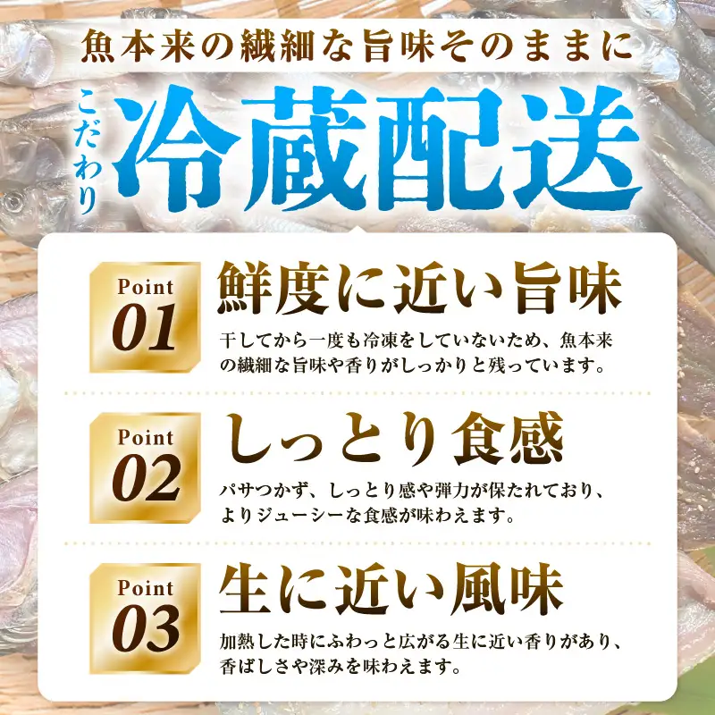 珍しい冷蔵発送！魚屋こだわり「春にお届け干物セット」【2027年4月上旬より順次発送】 [e23-a002]