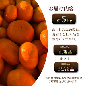 【 訳あり みかん 】 青島 みかん 5kg オレンジ みかん
