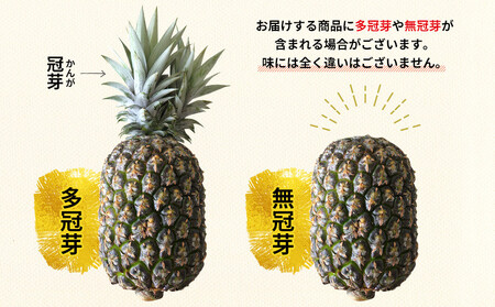 パイナップル ゴールドバレル 2玉 3.5㎏ ふくしま農園