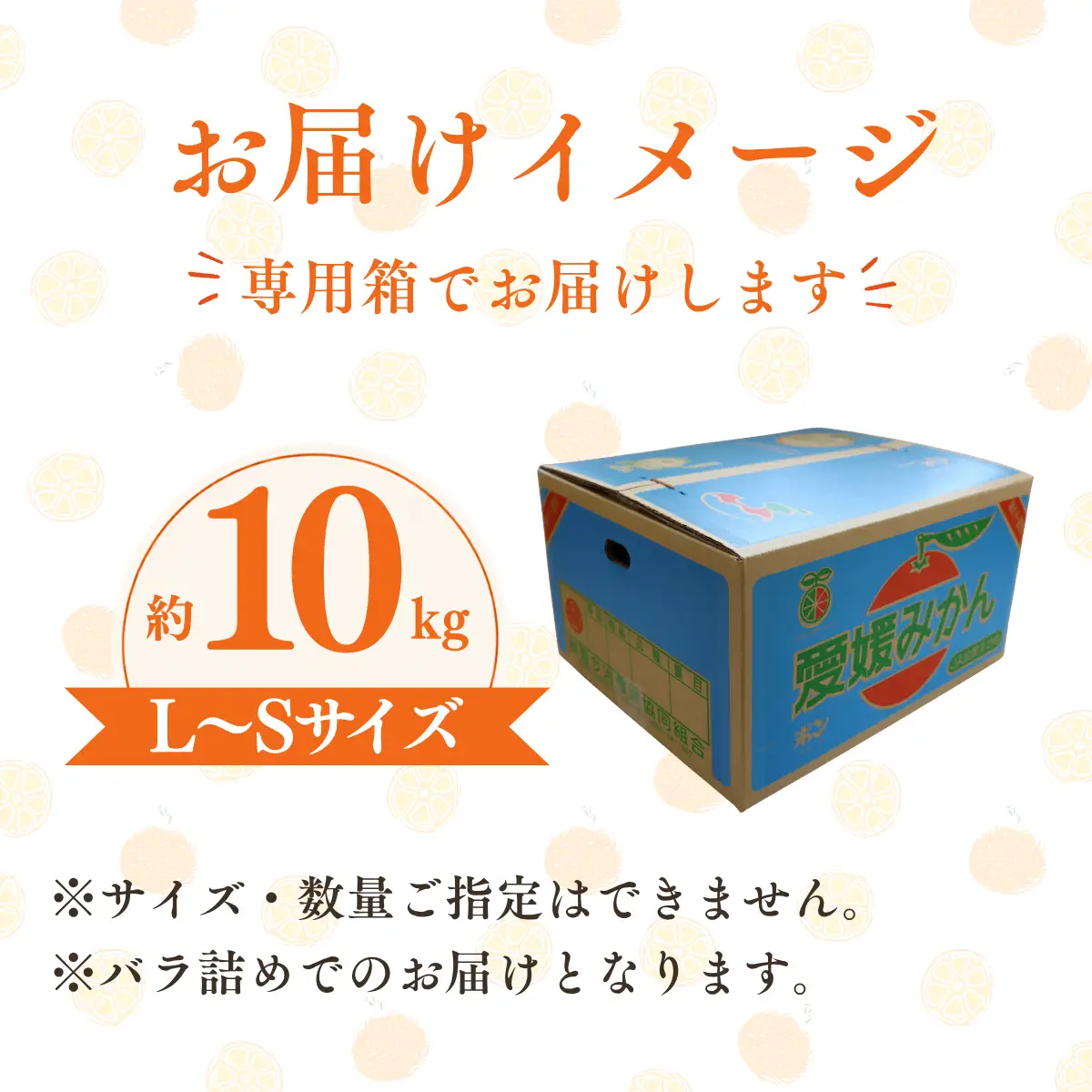 みかん 【先行予約】瀬戸内の温州みかん10kg L～S