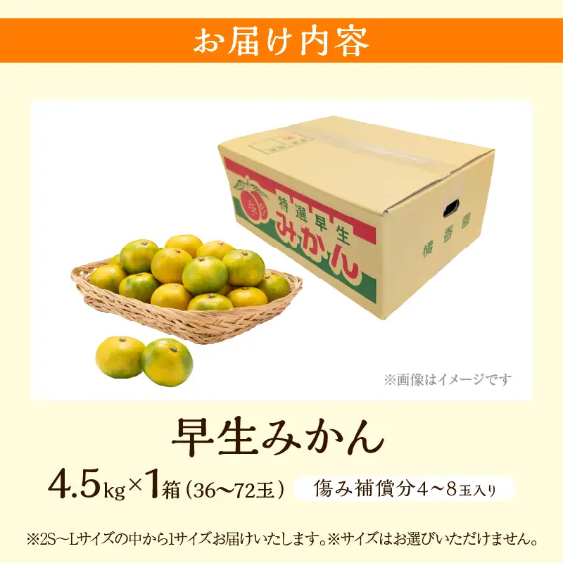 先行予約 早生みかん 計4.5kg 傷み補償分入り フルーツ_CV32-26