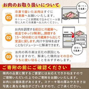 豚肉 切り落とし 鹿児島県産  (計3.0kg) 【豚肉 切り落とし】 【Rana】A1016-v02
