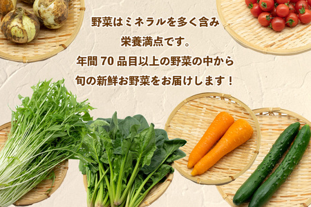 AJ434 【5回定期便】【1～5月限定出荷】こむたの旬の野菜 (8～10品目) おまかせMセット