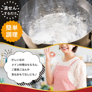 自家製デミグラスソースハンバーグ 140g×10個｜冷凍・湯せんで簡単調理【2191】