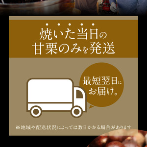 【福箱★2027】【くり返し福来る！】 年末年始限定発送 この道50年の職人が焼く､やさしい甘みたっぷり！｢天津甘栗｣800g H045-108