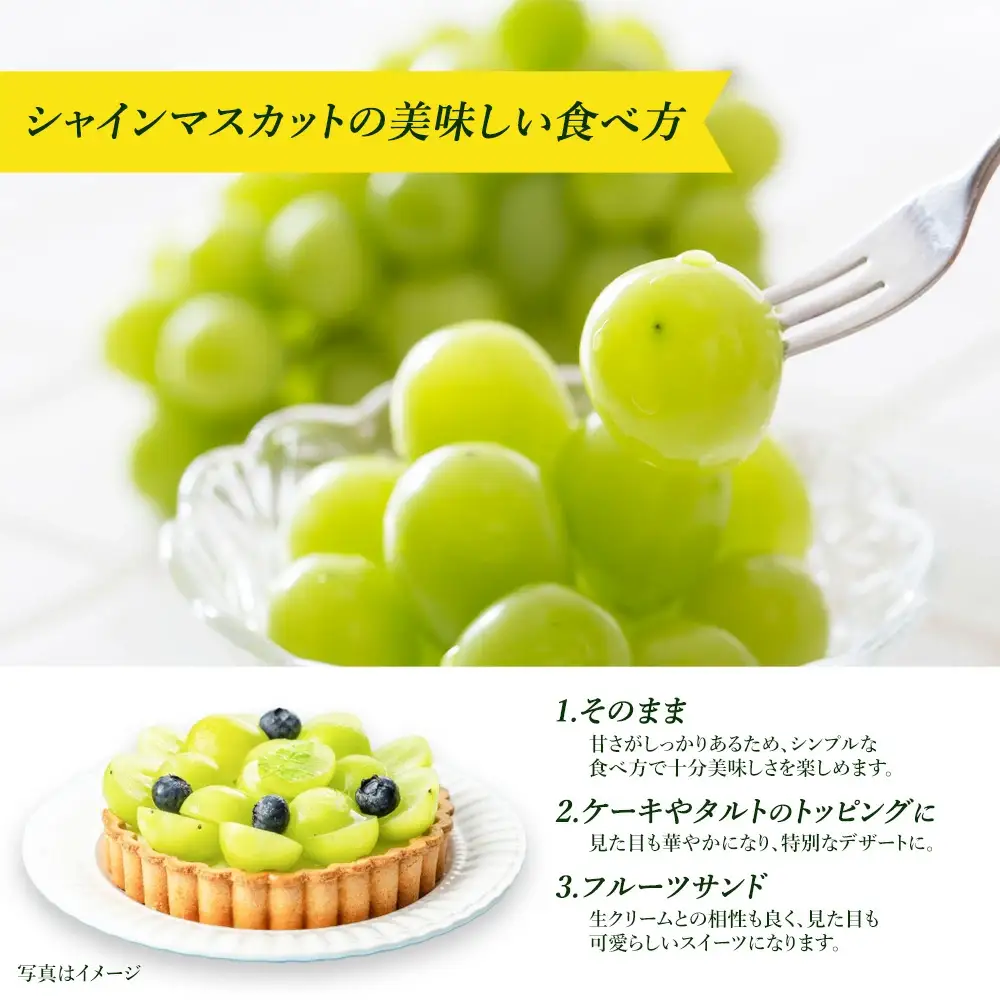 シャインマスカット　1kg　【11218-0921】