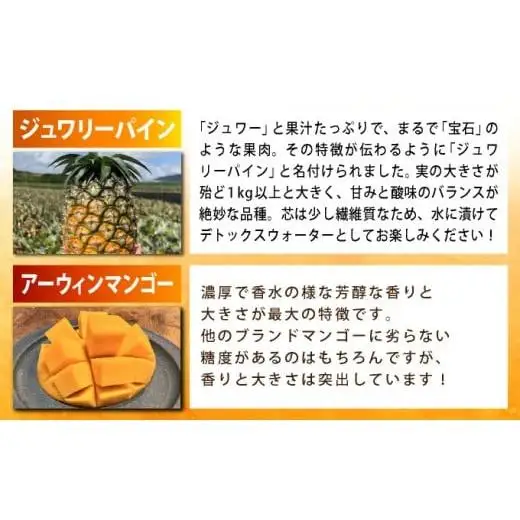 島のおいしいを贅沢に！大満足のパイナップル3種とマンゴー、マイヤーレモンの定期便　年5回に分けてお送りします 《2027年4月中旬以降発送》