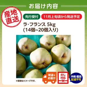 ≪先行受付≫ラフランス 5kg 14個～20個【2026年11月上旬～順次発送予定】 057-002