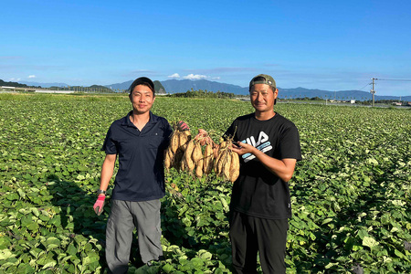 鹿児島県産マロンゴールド約5kg JAいぶすき IB063-003 さつまいも さつまいも