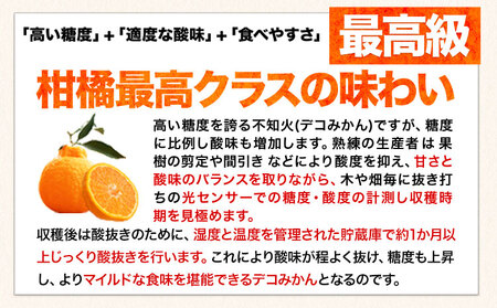 ご家庭用 デコみかん 約2kg 前後 (約4-10玉前後)《2027年2月上旬-4月上旬頃出荷》デコポン（不知火）と同品種 熊本県産 熊本県 長洲町 訳あり