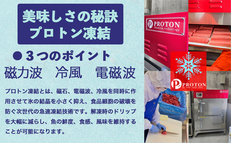 【予約商品】津軽海峡　大間産　極上本マグロ　刺身用サク　赤身