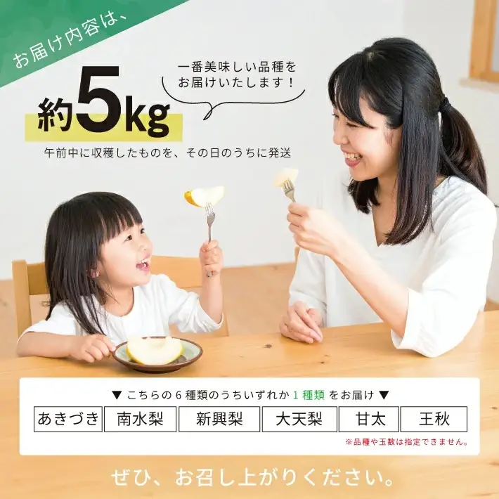 SB0942　酒田産【特選】 和梨 約5kg(玉数おまかせ) 品種おまかせ : 晩生種 あきづき梨 南水梨 新興梨 大天梨 甘太 王秋