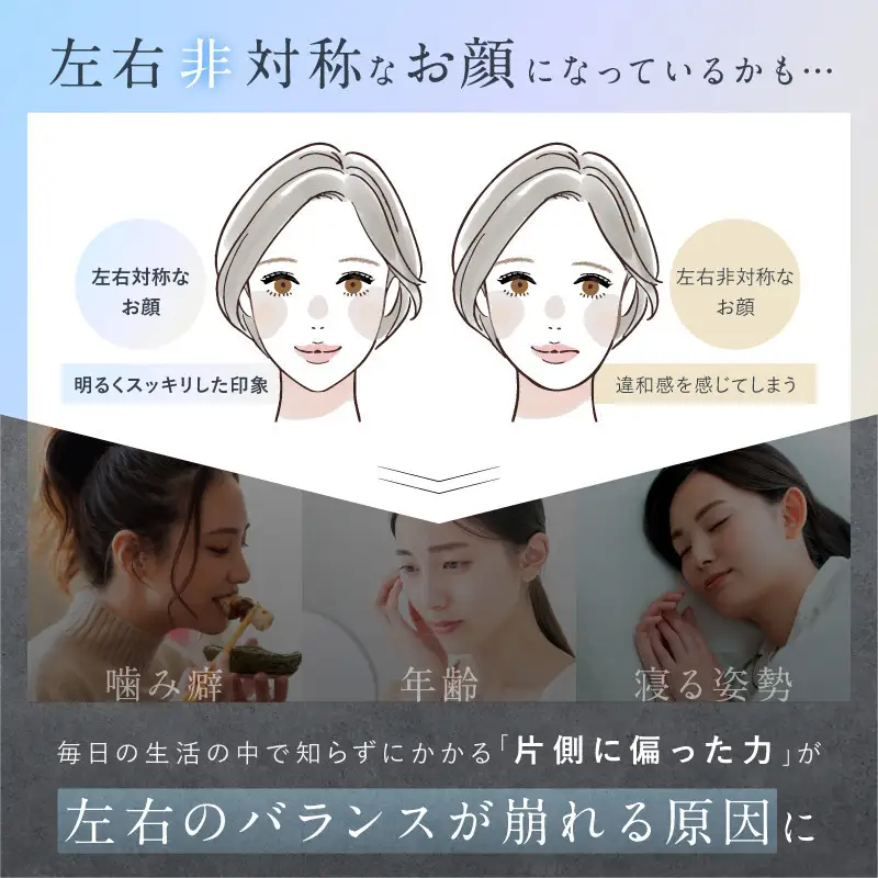 NIPLUX 美顔ローラー BEROLA | 1年保証 取扱説明書付き EMS 美顔ローラー Y字型 美顔器 べローラ 顔 低周波 小顔 電動 美容ローラー フェイスローラー 毛穴ケア フェイシャルケア 顔用 美容家電 ニップラックス 福岡市 人気 おすすめ 送料無料 NP-BRL23SV