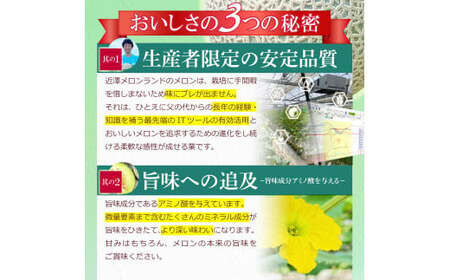 【先行予約】メロン 2玉入り（1玉約1.4kg〜1.8kg）青肉 〈2027年6月中旬〜7月中旬頃発送〉メロン めろん マスクメロン 舐瓜 果物 くだもの フルーツ デザート 旬 ハウス栽培【株式会社とさもん】[BQAE027]