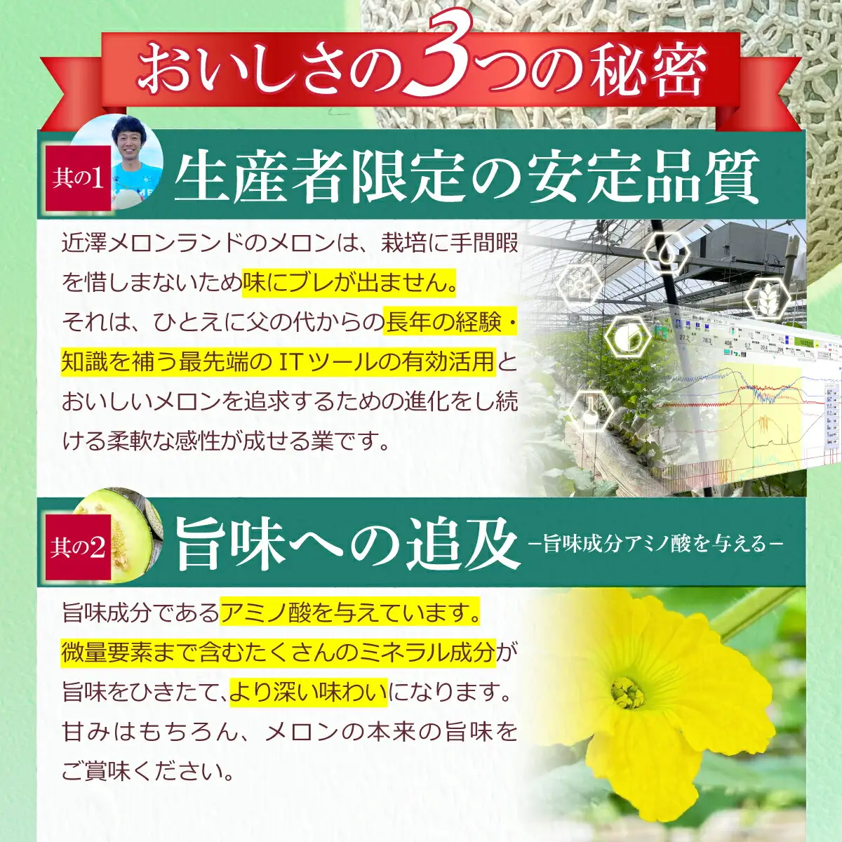 【先行予約】メロン 1玉入（約1.4kg〜1.8kg）青肉 〈2027年6月中旬〜7月中旬頃発送〉 メロン めろん マスクメロン 舐瓜 果物 くだもの フルーツ デザート 旬 ハウス栽培【株式会社とさもん】[BQAE026]