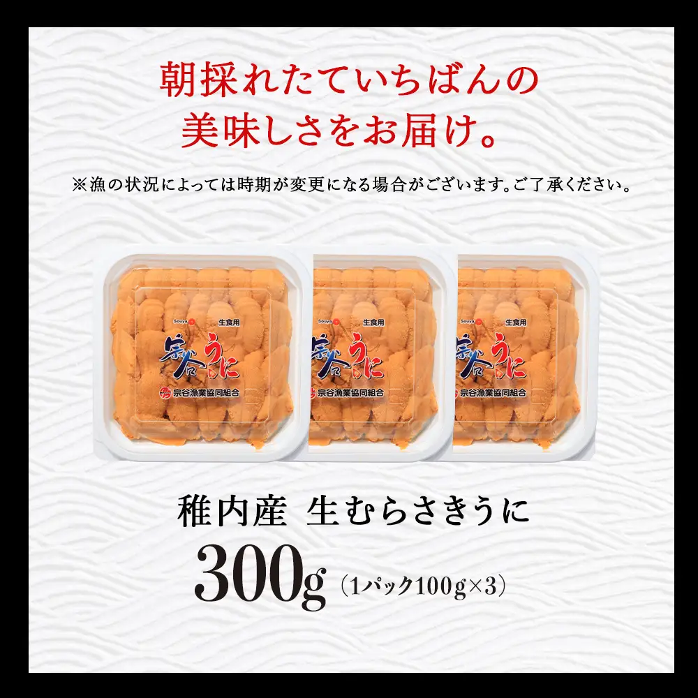 【うにの名産地稚内市】最北端の生むらさきうに(100gパック×3) うに ウニ ムラサキウニ