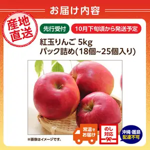 ≪先行受付≫紅玉りんご5kg 18個～25個 特秀【2026年10月下旬～順次発送予定】 057-003