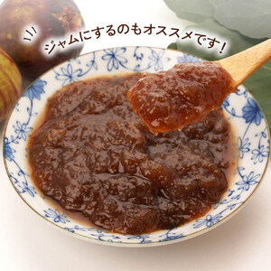 袖ケ浦産いちじく 約850g《8月下旬から11月発送》グリーンファーム三基｜直送 果物 くだもの フルーツ スイーツ イチジク 袖ケ浦 房総 千葉 [0392ch]