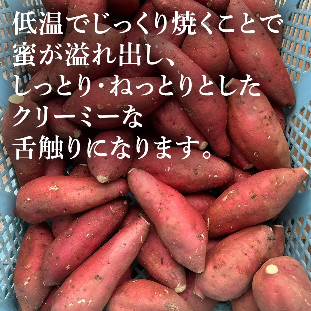 さつまいも 紅はるか 栽培期間中農薬不使用栽培 3kg 【2026年 11月以降発送】 (BJ008)
