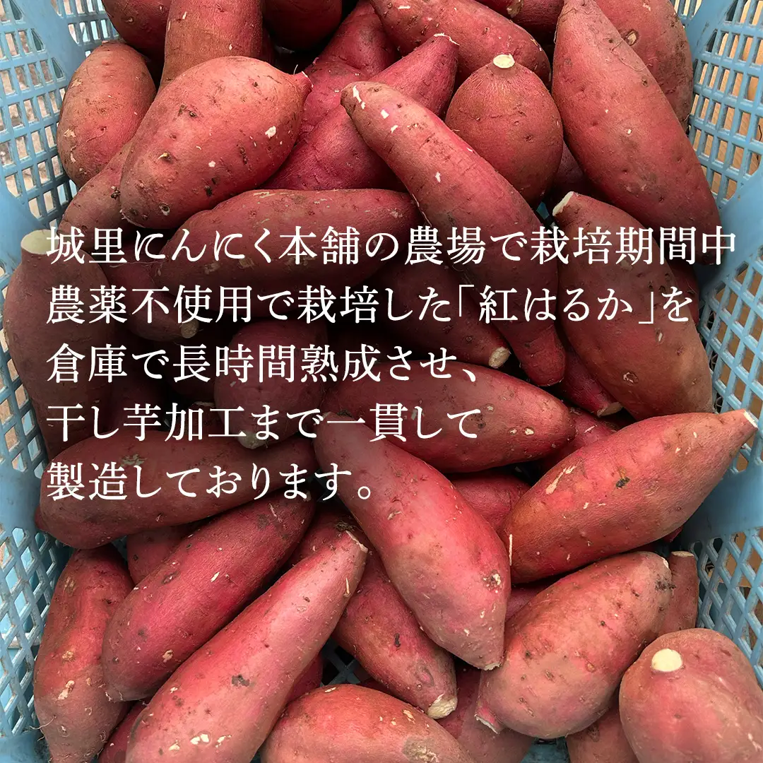 干し芋 こだわりの天日干し 1.8kg 【2026年 11月以降発送】デザート おやつ 甘い ねっとり 紅はるか 黄金はるか お芋 熟成 自然乾燥 茨城県 城里町 (BJ011)