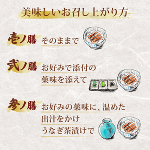 ひつまぶしセット 3人前 自宅で簡単 【うなぎ ひつまぶし 鰻】