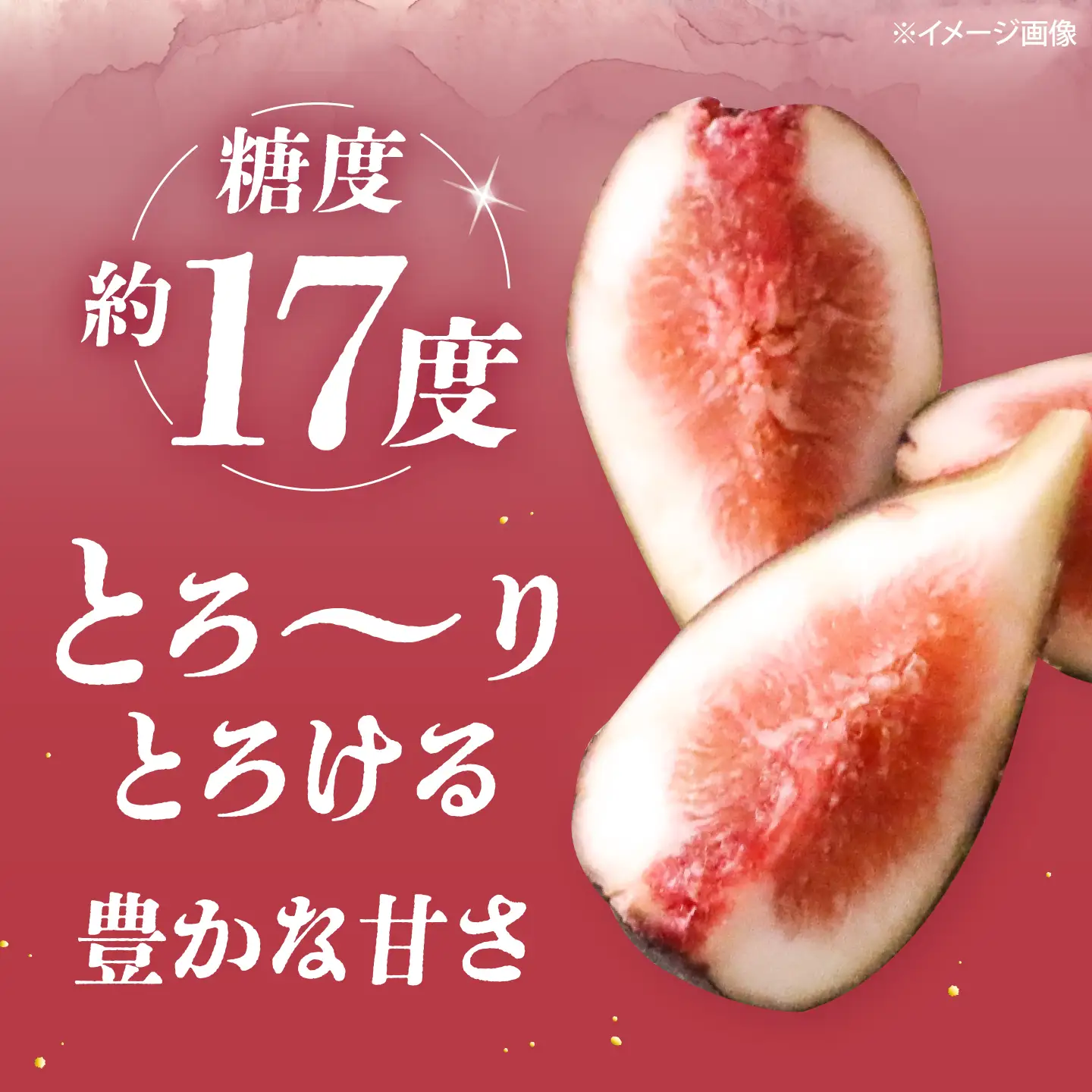 【先行予約】福岡産いちじく とよみつひめ 約300g×4P BGAG012