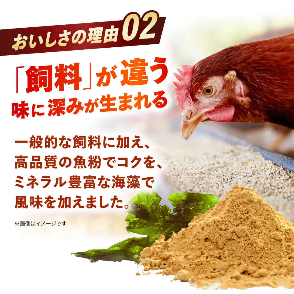 〈数量限定〉【朝採れ直送】小峰鶏園 赤たまご Lサイズ 60個 / 卵 玉子 たまご 卵焼き 玉子焼き 生卵 鶏卵 卵かけごはん / 諫早市 / 小峰鶏園 [AHFB001]