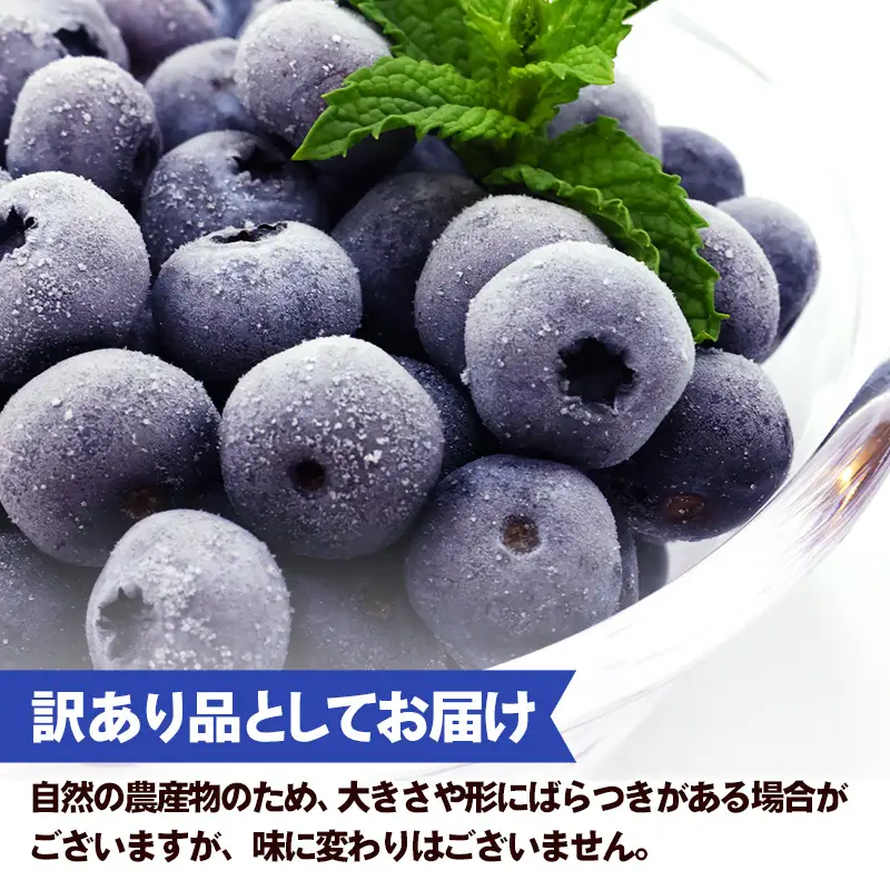 ブルーベリー 訳あり 冷凍 1㎏ フルーツ ベリー 果物