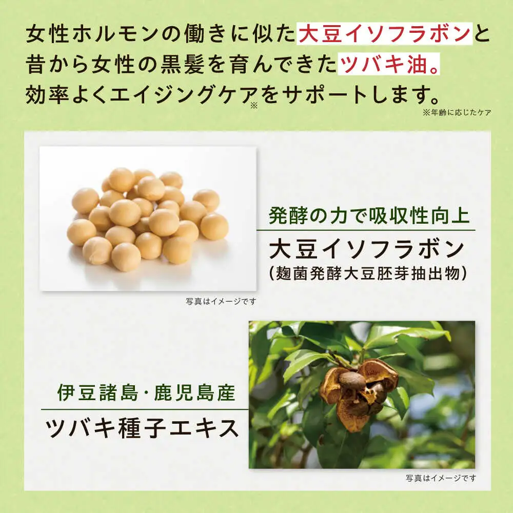 【12箱入　360日分】いとびはつ はぐくむ青汁 糸島市 / 株式会社ピュール [AZA267]