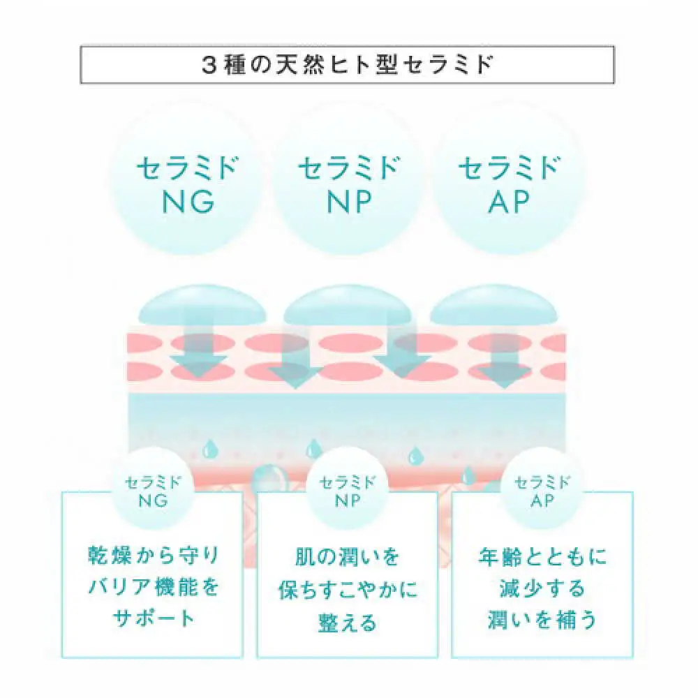 【5本入】LIHAW リハウ モイスチャーローション 糸島市 / 株式会社ピュール [AZA270]